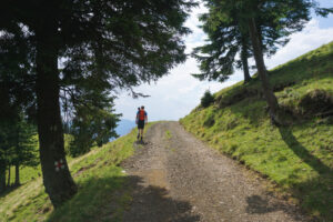 meilleurs circuits de randonnée en Vendée